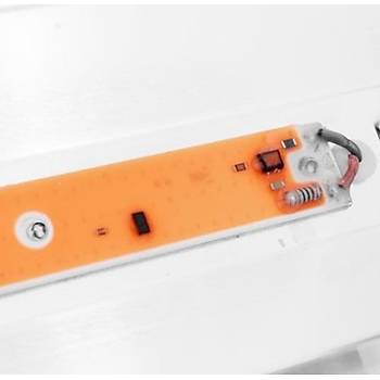 Tam Spektrum 80W 220V COB LED Chip Bitki Büyütme Işık Su Geçirmez 
