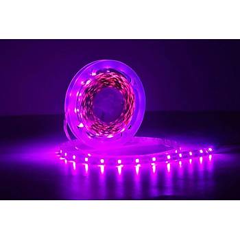 Tam Spektrum Bitki B�y�tme 5050 SMD WP �erit Led 12V 380-780nm Topraks�z Tar�m 