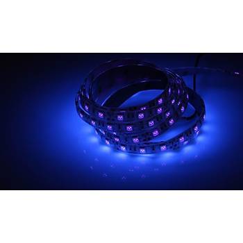 UV erit LED 5050 SMD 60/m Su Geirmez 1mt 12V