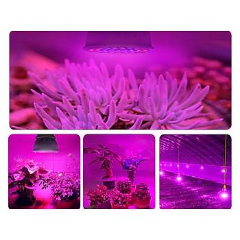 Tam Spektrum 60 Led Bitki iek Bytme Hidroponik Aydnlatma 