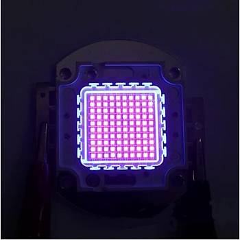 UV 395nm 100W Yüksek Güç Led Çip Bord Ultraviyole Işık