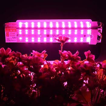 Tam Spektrum Fito Bitki  B�y�tme LED I��k 50W AC 220V 180� �P 65 Su Ge�irmez 
