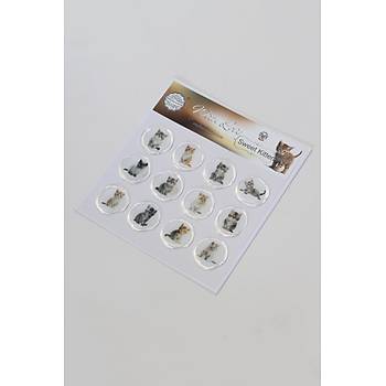 Mhrcm 12 Adet Hazr Kendinden Yapkanl Gelin Damat Davetiye Sticker Mhr KYSM115