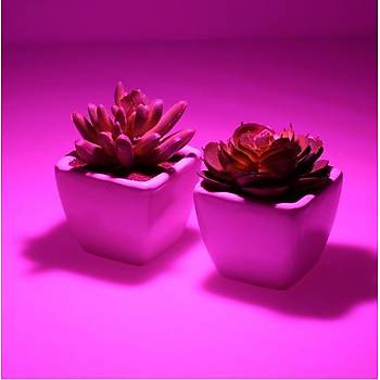 Tam Spektrumlu LED COB �ip Topraks�z Tar�m Bitki B�y�tme 50W 220V 