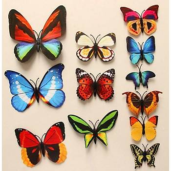 Ev Dekorasyon 3D PVC Kelebek 12 li Duvar Ssleme Model E