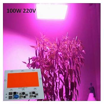 Tam Spektrum 380-840nm UV LED DOB Topraksız Tarım Bitki Büyütme 100W 220V  