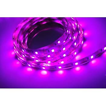 Tam Spektrum Bitki Büyütme 5050 SMD Şerit Led 12V 380-780nm Topraksız Tarım 