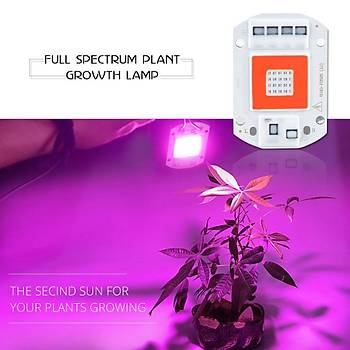 Tam Spektrum 50W 220V Yeni Nesil Bitki Bytme Led Cob ip