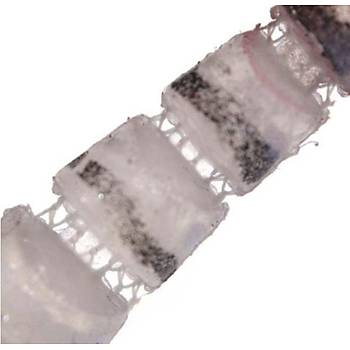 PROFISHER Fosforlu Silikon Sahte Karides Yem 7 cm 12,6 gr 5 Eklem D