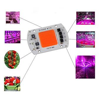 Tam Spektrum 380-840nm UV LED COB Topraksız Tarım Bitki Büyütme 50W 220V 