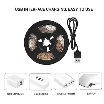 Tam Spektrum Bitki Büyütme Şerit Işık 5V USB Uç 1,5 mt Dış Mekan