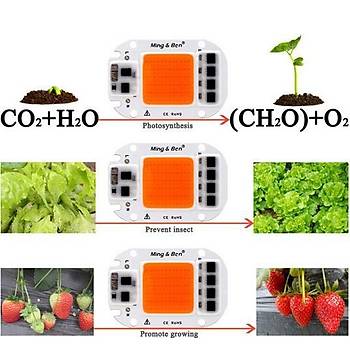 Tam Spektrumlu LED COB �ip Topraks�z Tar�m Bitki B�y�tme 50W 220V 