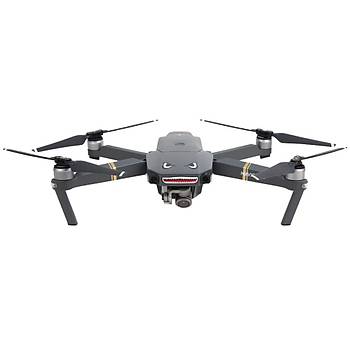 DJI Mavic 2 Zoom Ku� Ka��ran K�pekbal��� ��kartma Etiket