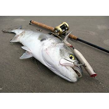 PROFISHER L�fer Kofana Avc�s� Zoka Sert Yapay Yem 11,5 gr 8 cm Renk: J