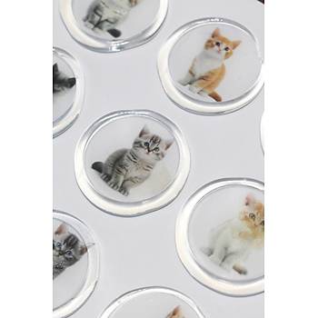 M�h�rc�m 12 Adet Haz�r Kendinden Yap��kanl� Gelin Damat Davetiye Sticker M�h�r KYSM115
