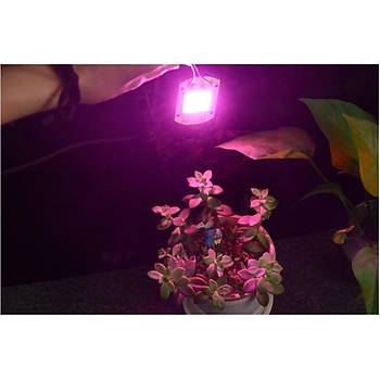 Tam Spektrum 380-840nm UV LED COB Topraksız Tarım Bitki Büyütme 50W 12V 