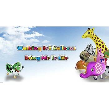 Folyo Balon Zebra Parti Ssleme DoumgnOyuncak