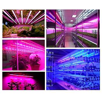 Tam spektrum Hidrofonik Bitki Büyütme 5050 Esnek Şerit LED Işık 4 Kırmızı 1 Mavi 