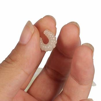 PROFISHER 50 Adet 5 Renk Yapay Kurtcuk Silikon Yem 2 cm 