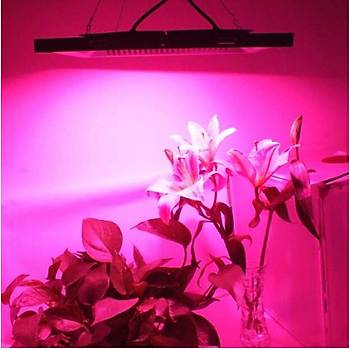 Tam Spektrum 380-840nm UV LED DOB Topraksız Tarım Bitki Büyütme 100W 220V  