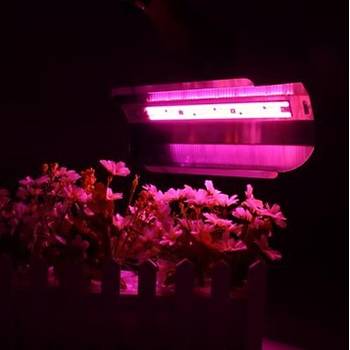 Tam Spektrum 30W 220V COB LED Chip Bitki Büyütme Işık Su Geçirmez 