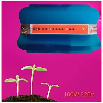 Tam Spektrum 100W 220V Sera Bitki Büyütme Işık Çanak Cob Led 