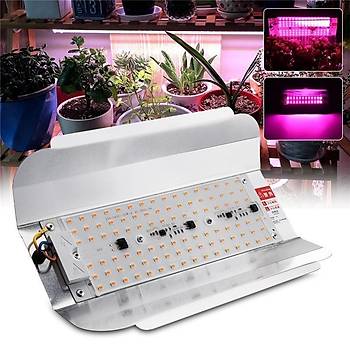 Tam Spektrum Fito Bitki  Bytme LED Ik 100W AC 220V 180 P 65 Su Geirmez 