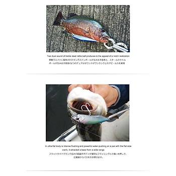 PROFISHER Econglee Japan Eye Sert Yapay Balk Yem Fosforik Renk D
