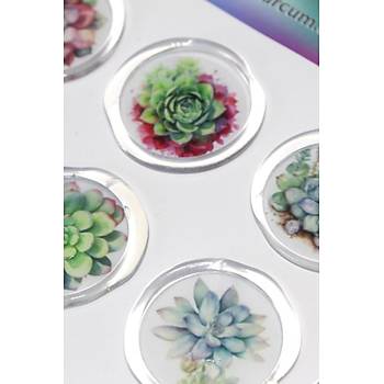 M�h�rc�m 12 Adet Haz�r Kendinden Yap��kanl� Sukulent Bitki Sticker M�h�r KYSM109