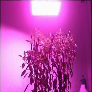 Tam Spektrum 380-840nm UV LED DOB Topraksız Tarım Bitki Büyütme 100W 220V  