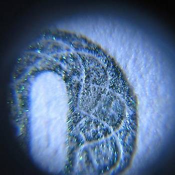 60x Mini Cep Mikroskop Kuyumcu Büyüteç LED Iþýk 