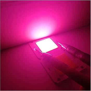 Tam Spektrum 380-840nm UV LED COB Topraksız Tarım Bitki Büyütme 50W 12V 