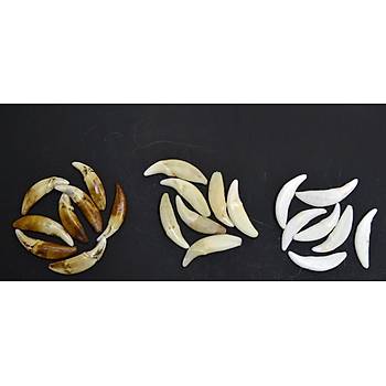 Do�al Tibet Beyaz Kurt Di�i Kolye Ayarl� �rg� �pli Metal Charm Boncuklu
