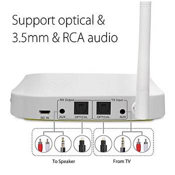 Dijital Optik RCA AUX Port 