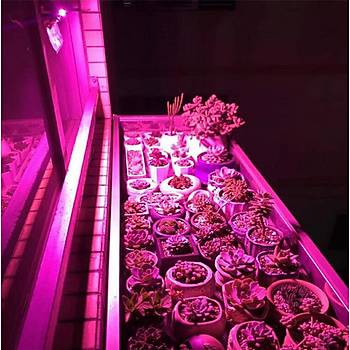 Tam Spektrum Fito Bitki  B�y�tme LED I��k 50W AC 220V 180� �P 65 Su Ge�irmez 