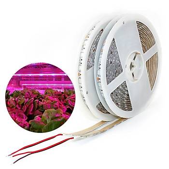 Tam Spektrum Hidrofonik Fito Sera Bitki Büyütme 5050 WP Şerit LED Işık 3 Red 1 Blue