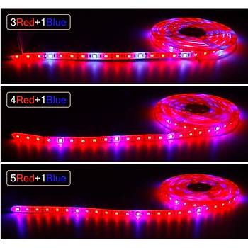Tam Spektrum Hidrofonik Fito Sera Bitki Büyütme 5050 WP Şerit LED Işık 3 Red 1 Blue