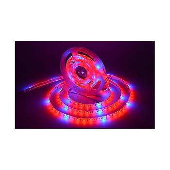 Tam Spektrum Hidrofonik Bitki Büyütme 5050 Esnek Şerit Su Geçirmez LED Işık 