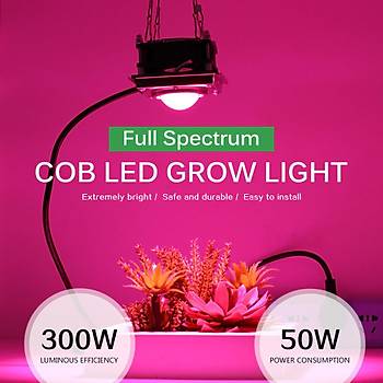 Tam Spektrum Bitki Büyütme Soğutucu Fanlı Cob Led 300W 220V Işık Hydroponic Sera 