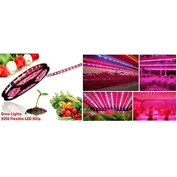 Tam Spektrum Hidroponik  Led erit dc12v 5050 5 Metre erit 