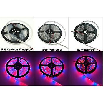 Tam Spektrum Hidroponik  Led erit dc12v 5050 5 Metre erit 