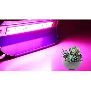 Tam Spektrum Fito Bitki  Büyütme LED Işık 100W AC 220V 180° İP 65 Su Geçirmez 