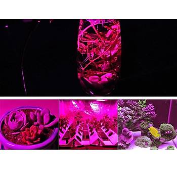 Bitki Büyütme 50W COB LED Chip + Lens Kasa + Reflektör Ayna (DIY) Proje