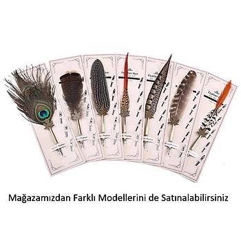 Divit Tüy Kalem Uzakdoğu Kuş Tüyü Kaligrafi Dekoratif Yazı 