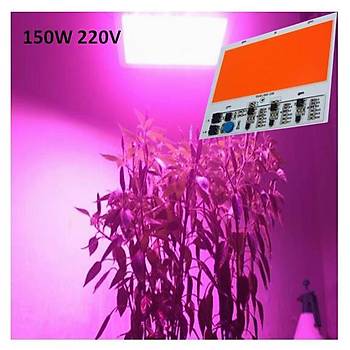 Tam Spektrum 380-840nm UV LED DOB Topraksýz Tarým Bitki Büyütme 150W 220V 