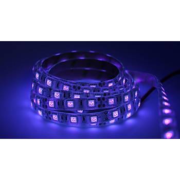 UV Şerit LED 5050 SMD 60/m Su Geçirmez 1mt 12V