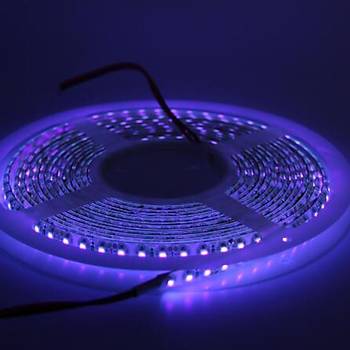 UV Şerit LED 3528 SMD 120/m Su Geçirmez 1mt 12V