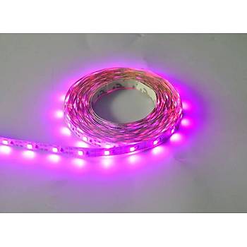 Tam Spektrum Bitki B�y�tme 5050 SMD WP �erit Led 12V 380-780nm Topraks�z Tar�m 