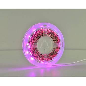 Tam Spektrum Bitki Büyütme 5050 SMD Şerit Led 12V 380-780nm Topraksız Tarım 