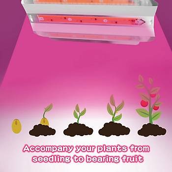 Tam Spektrum 30W 220V COB LED Chip Bitki Büyütme Işık Su Geçirmez 